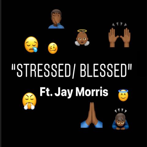 Stressed / Blessed
