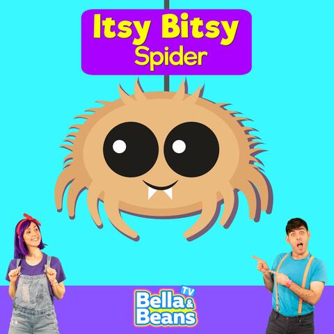 Itsy Bitsy Spider