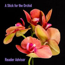 A Stick for the Orchid
