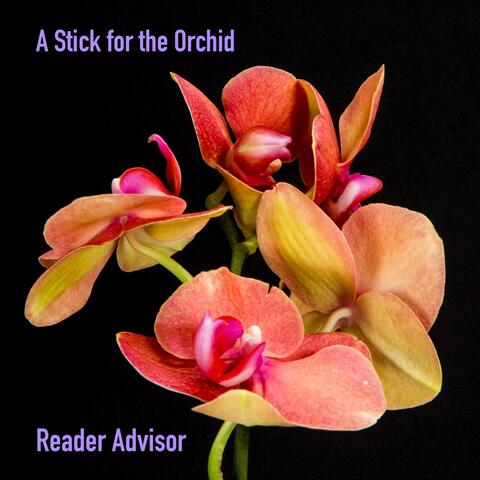 A Stick for the Orchid