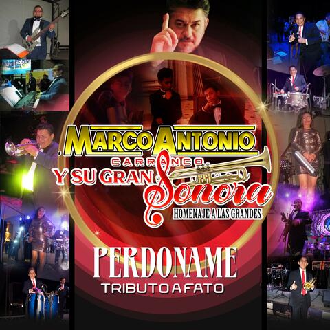Perdoname