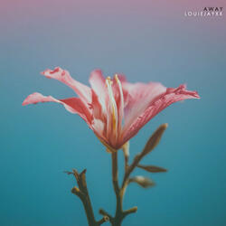 Away