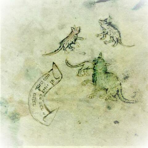 Mice