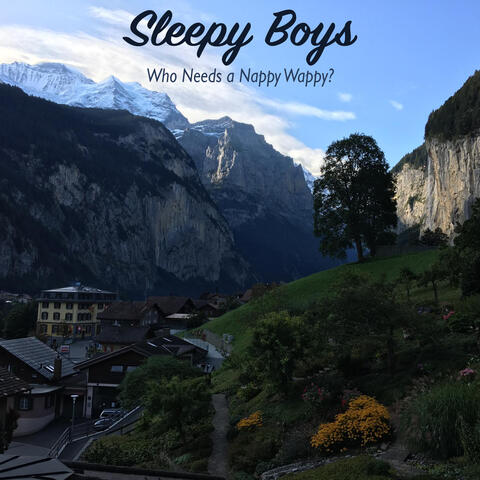Who Needs a Nappy Wappy?
