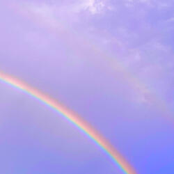 Colores