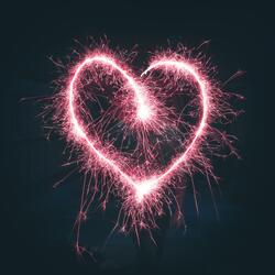 In Love for the Night