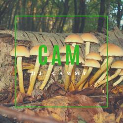 Cam