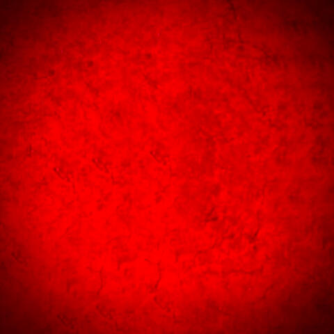 The Devil Is a Liar (EP)