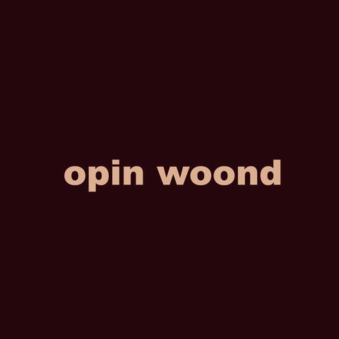 Open Wound