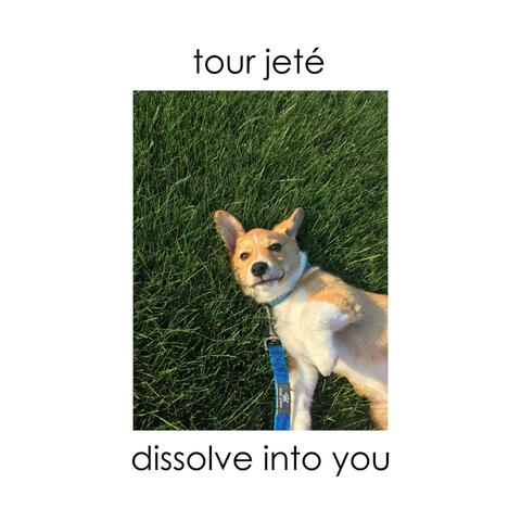 Dissolve Into You