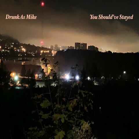 You Should've Stayed