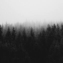 Passing Through