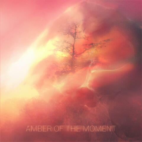 Amber of the Moment