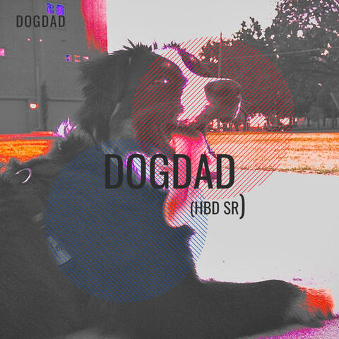 I Have a Dog, I Am a DogDad