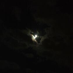 Get Me Through the Night