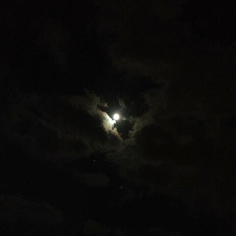 Get Me Through the Night