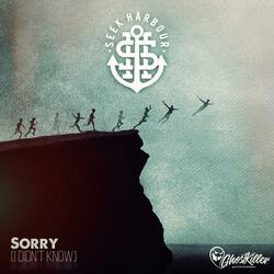 Sorry (I Didn't Know)