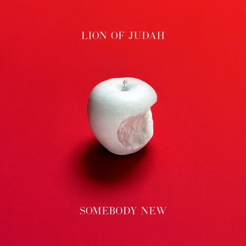 Somebody New