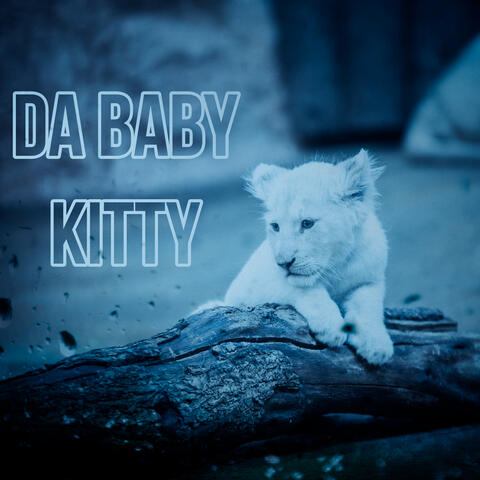 Da Baby Kitty