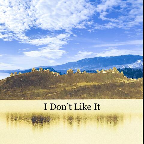 I Don't Like It