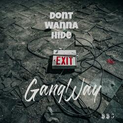 Don't Wanna Hide