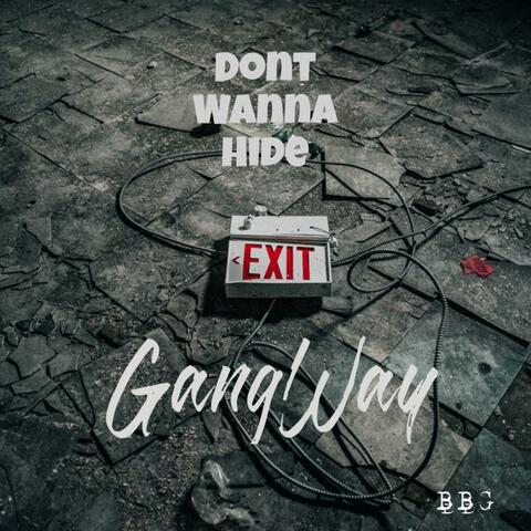 Don't Wanna Hide