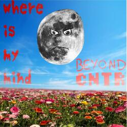 Where Is My Mind