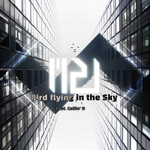 Bird Flying in the Sky