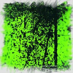 Crystal Green B Side