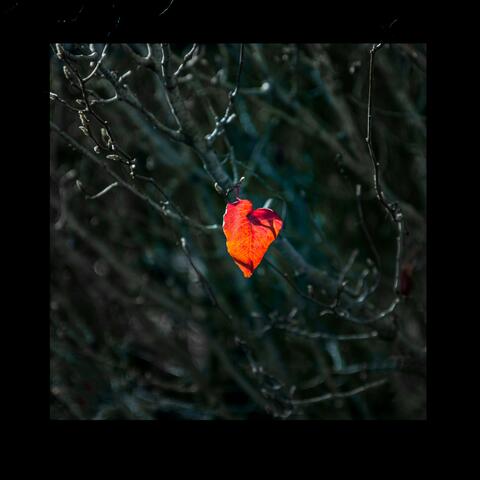 I Can Feel Your Heart