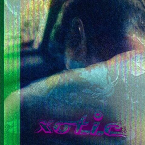 Xotic