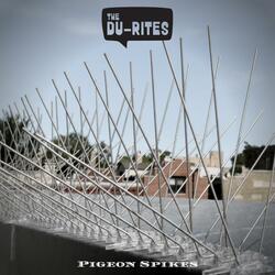 Pigeon Spikes