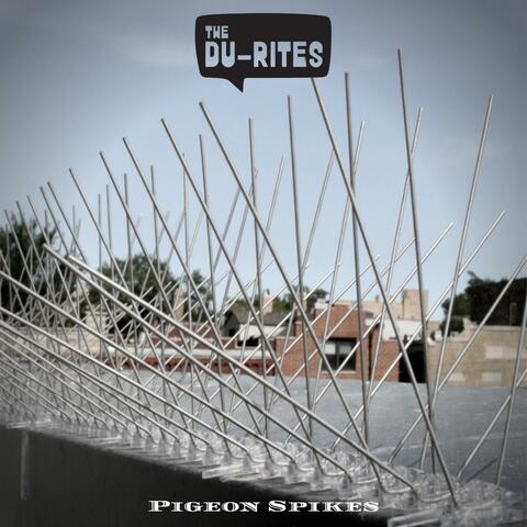 Pigeon Spikes