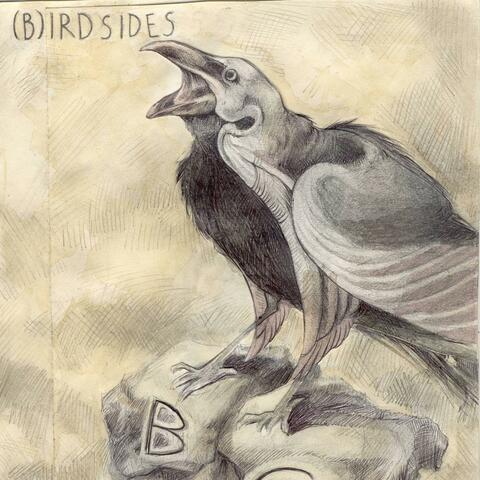 Bird sides
