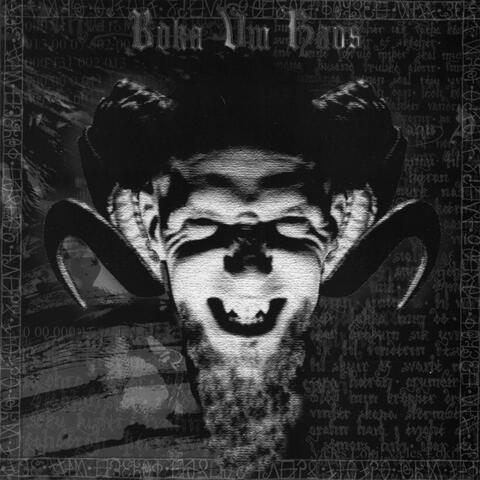 Boka Vm Kaos
