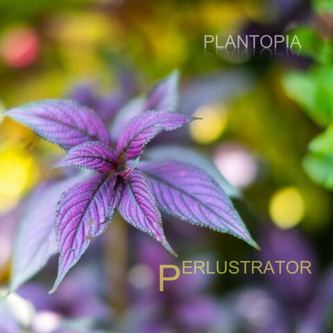 Perlustrator