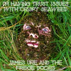 I'm Having Trust Issues With Crispy Seaweed
