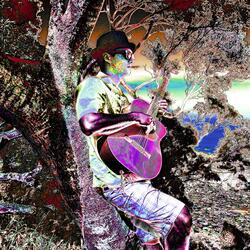 The Mango Tree