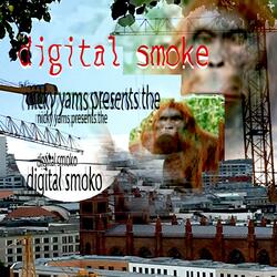 Digital Smoke