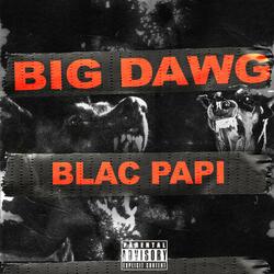 Big Dawg