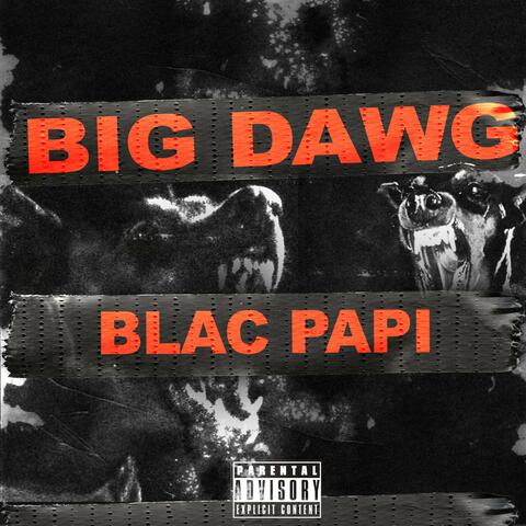 Big Dawg