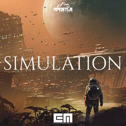 Simulation