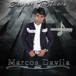 Siempre Te Amare