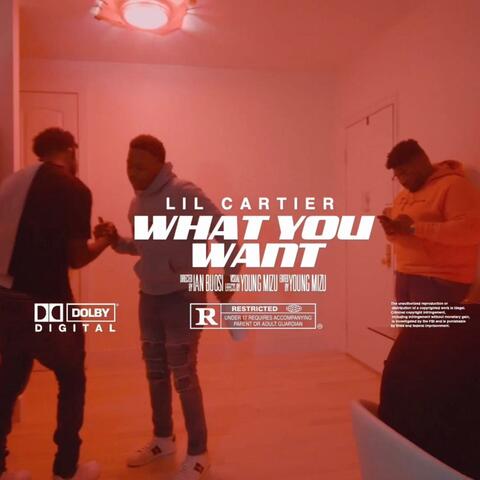 What You Want