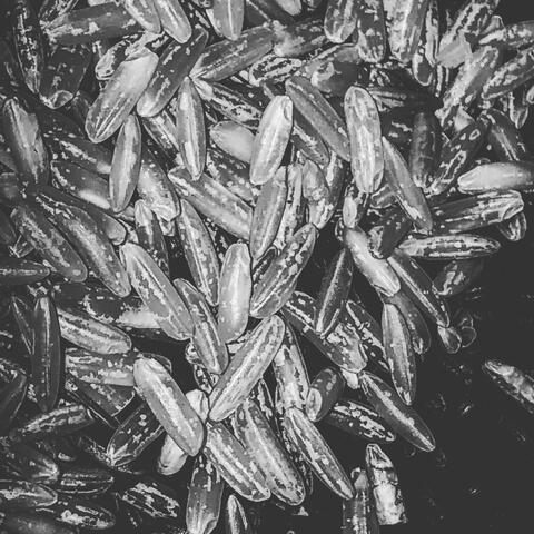 Ridin' in My Space Ship