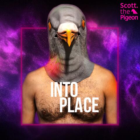 Into Place