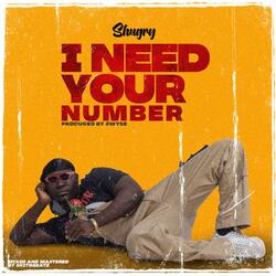 I Need Your Number