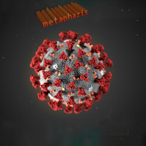 CoronaVirus