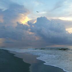 Ocean Blvd Blues