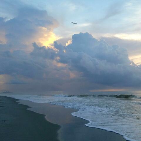 Ocean Blvd Blues